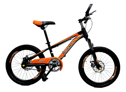 Bicicleta Infantil Deportiva Niños R-20 con Pie De Apoyo Cuadro 20