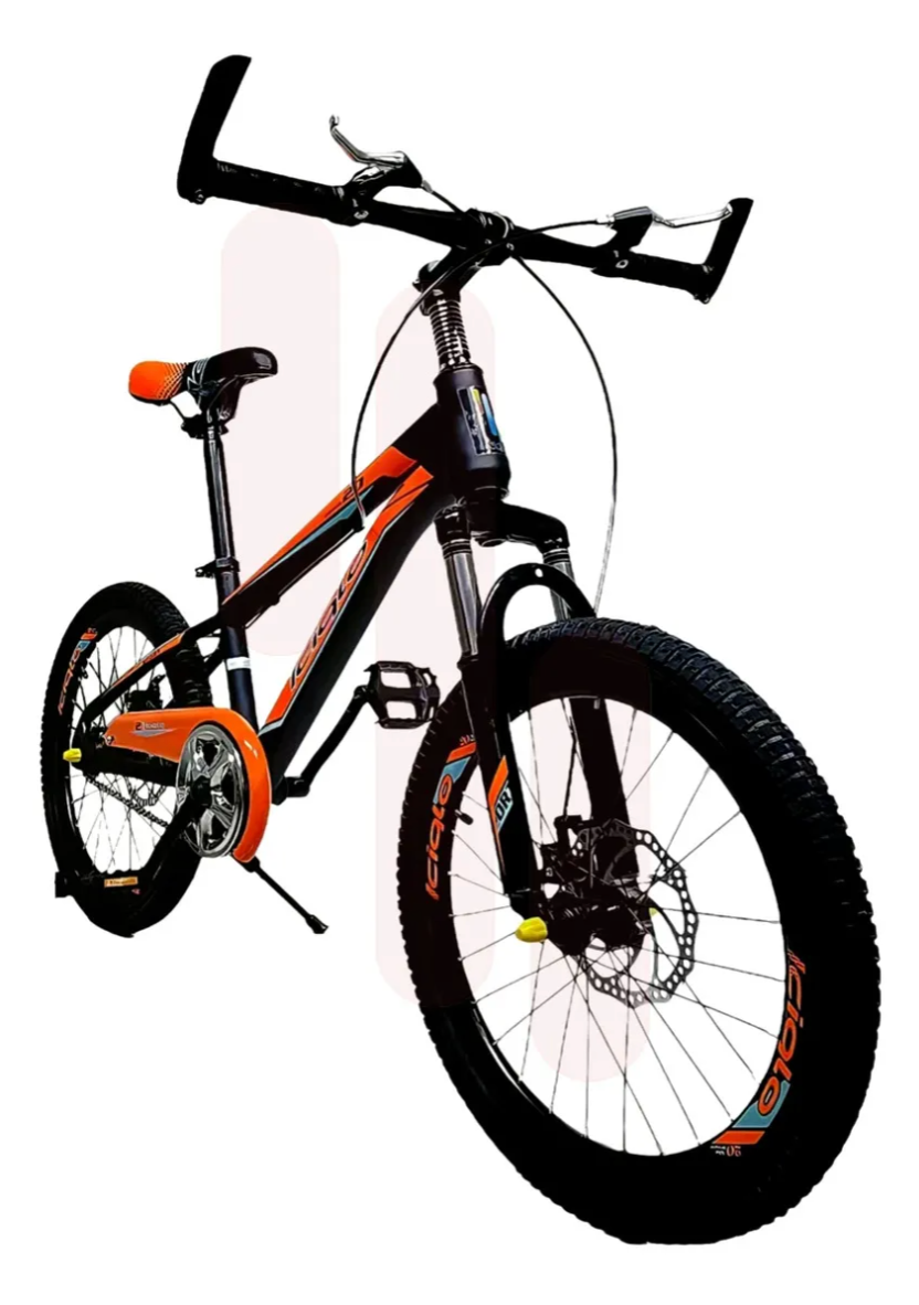 Bicicleta Infantil Deportiva Niños R-20 con Pie De Apoyo Cuadro 20
