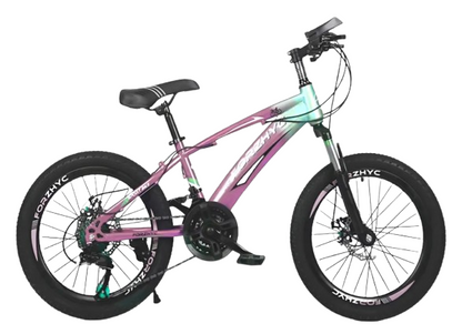 Bicicleta De Montaña 21 Vel. Suspensión y Frenos De Disco R-24